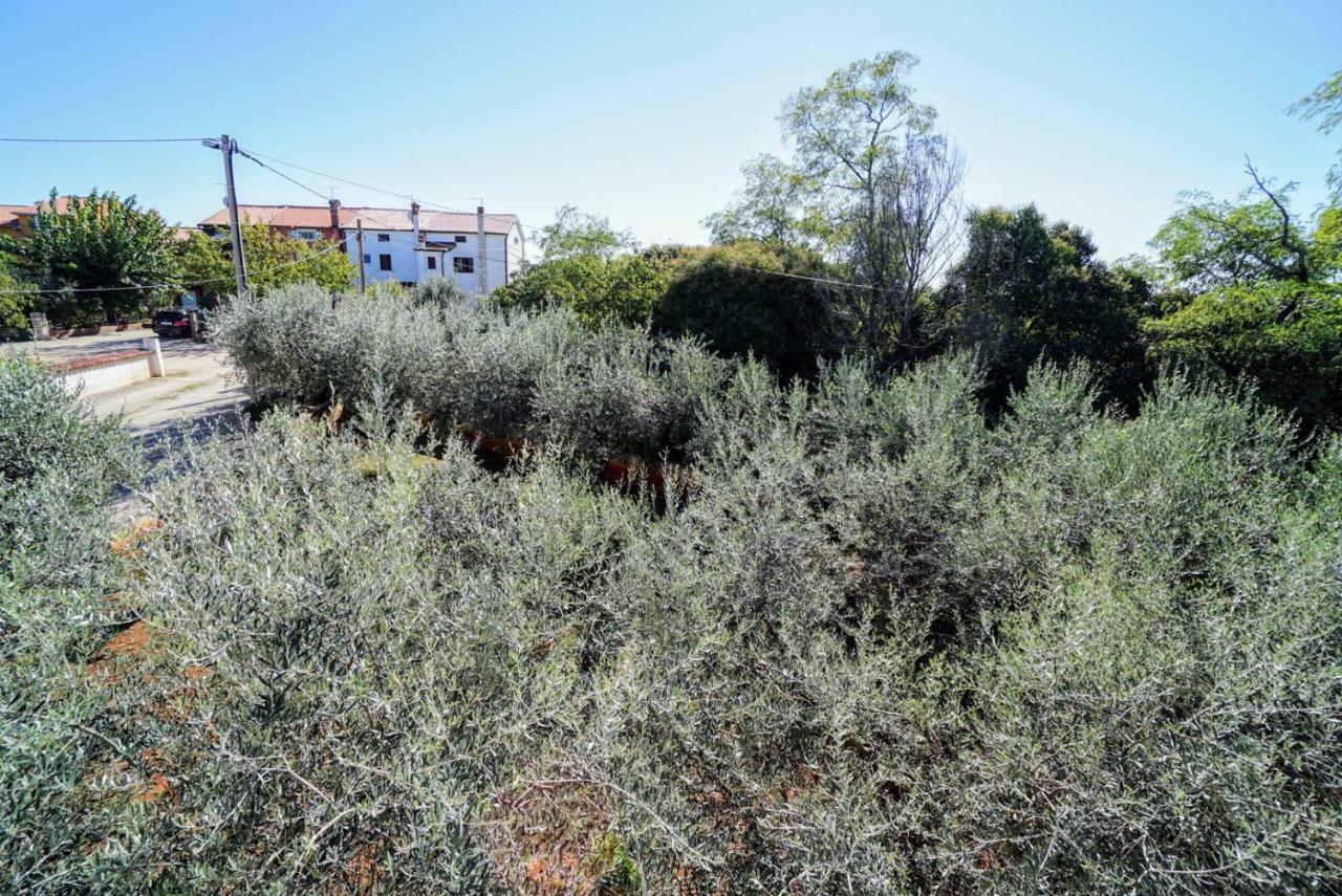 סבודרייה Apartment Daniela מראה חיצוני תמונה